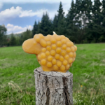 Owieczka na hali - świeca z wosku pszczelego